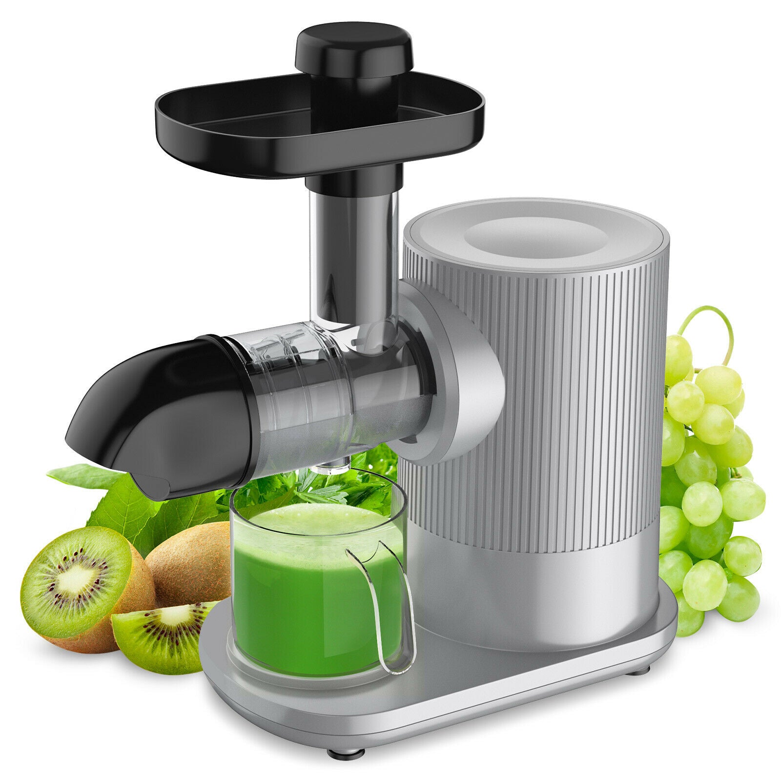 Slow Masticating Juicer Extractor Fruit Vegetable Machine