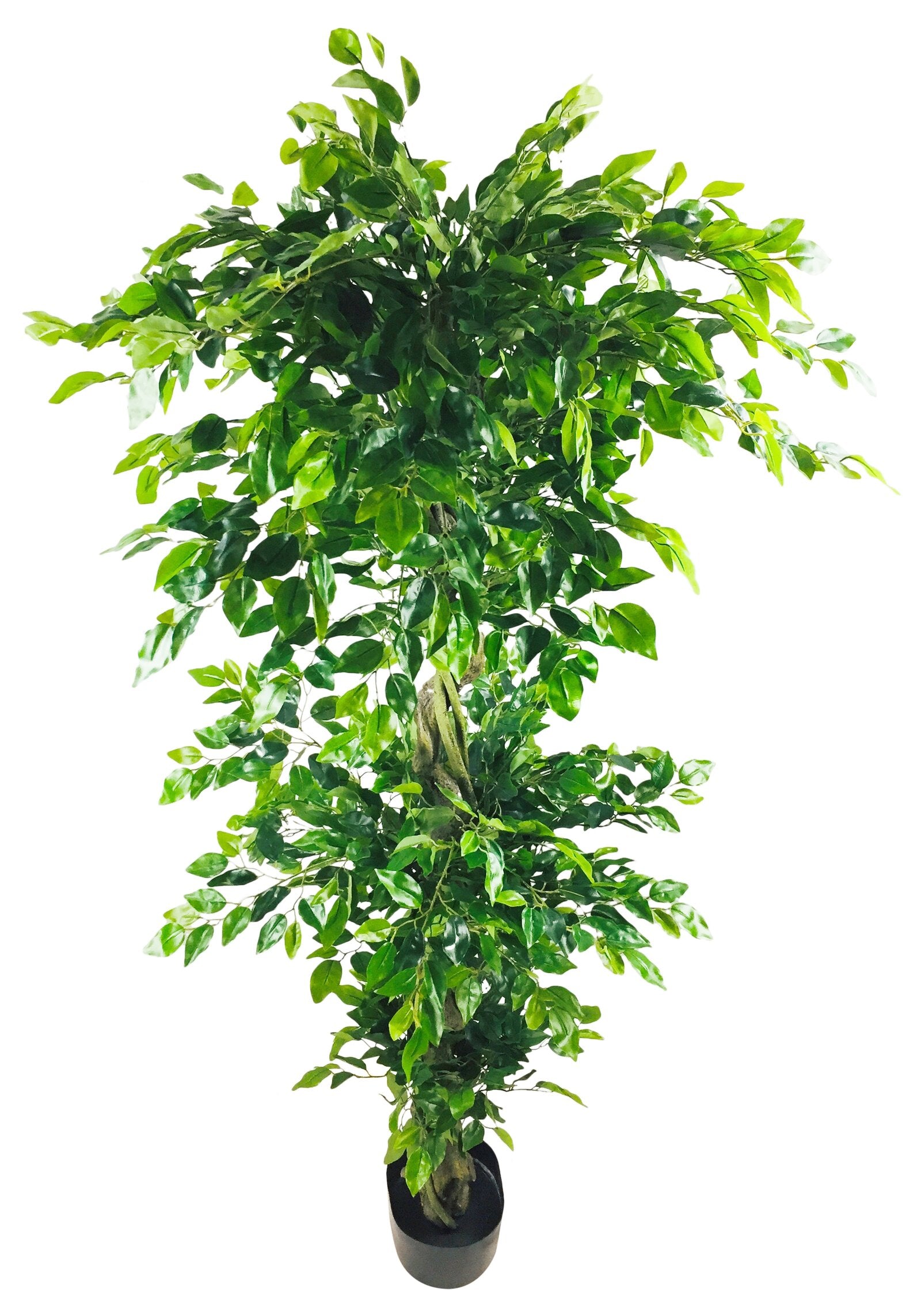 Artificial Ficus Leaf Topiary Mini Leaves 175cm