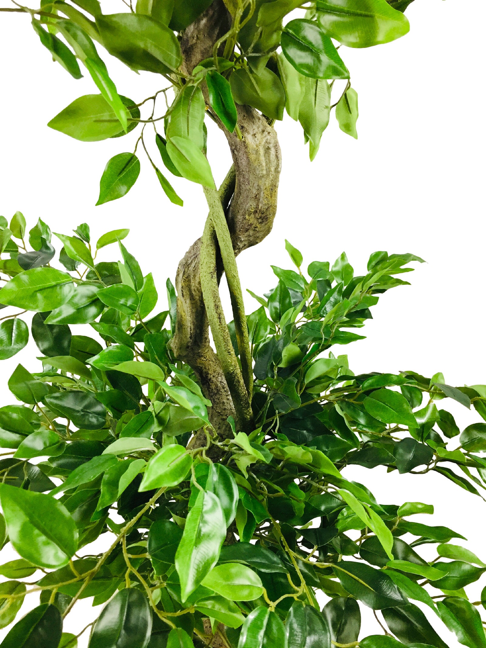 Artificial Ficus Leaf Topiary Mini Leaves 175cm