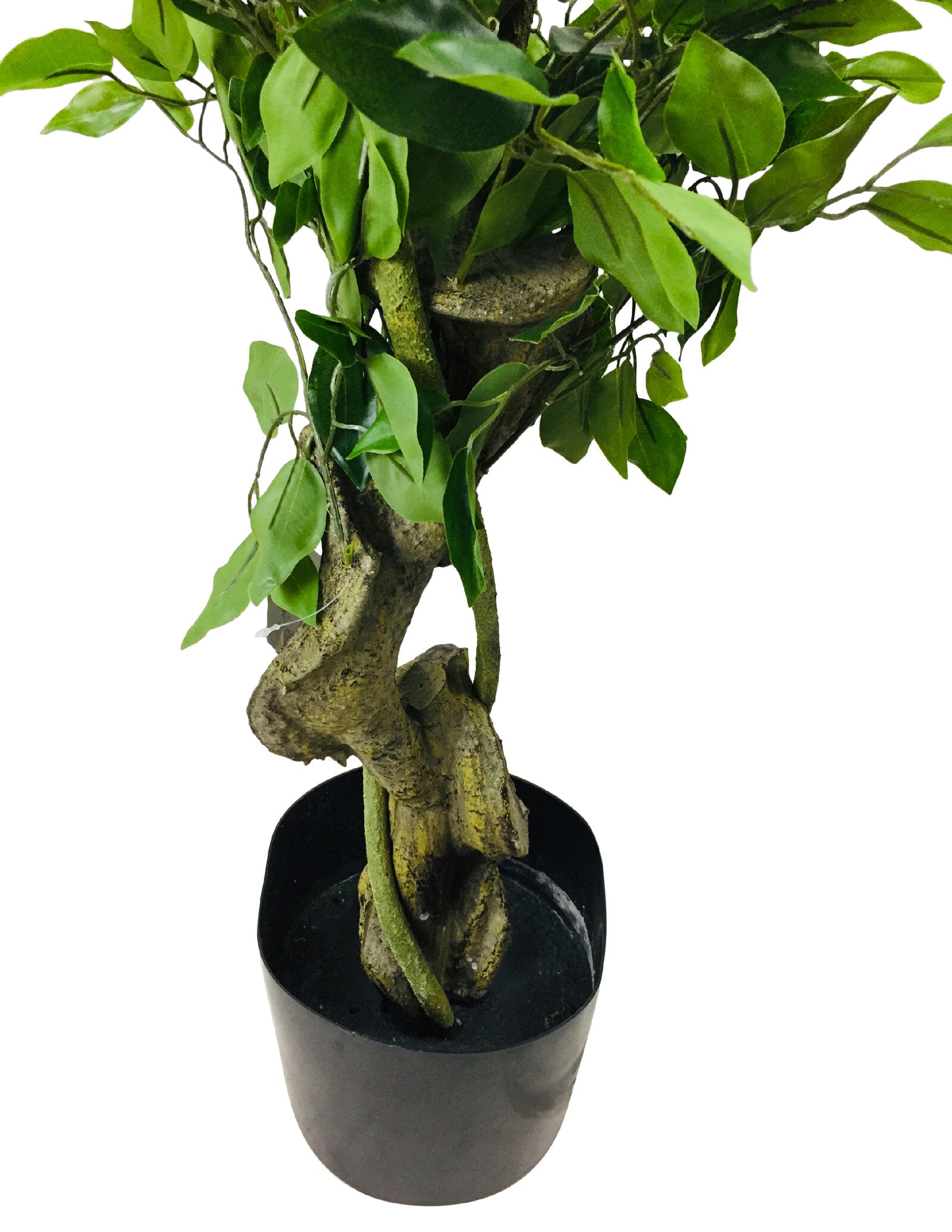 Artificial Ficus Leaf Topiary Mini Leaves 175cm