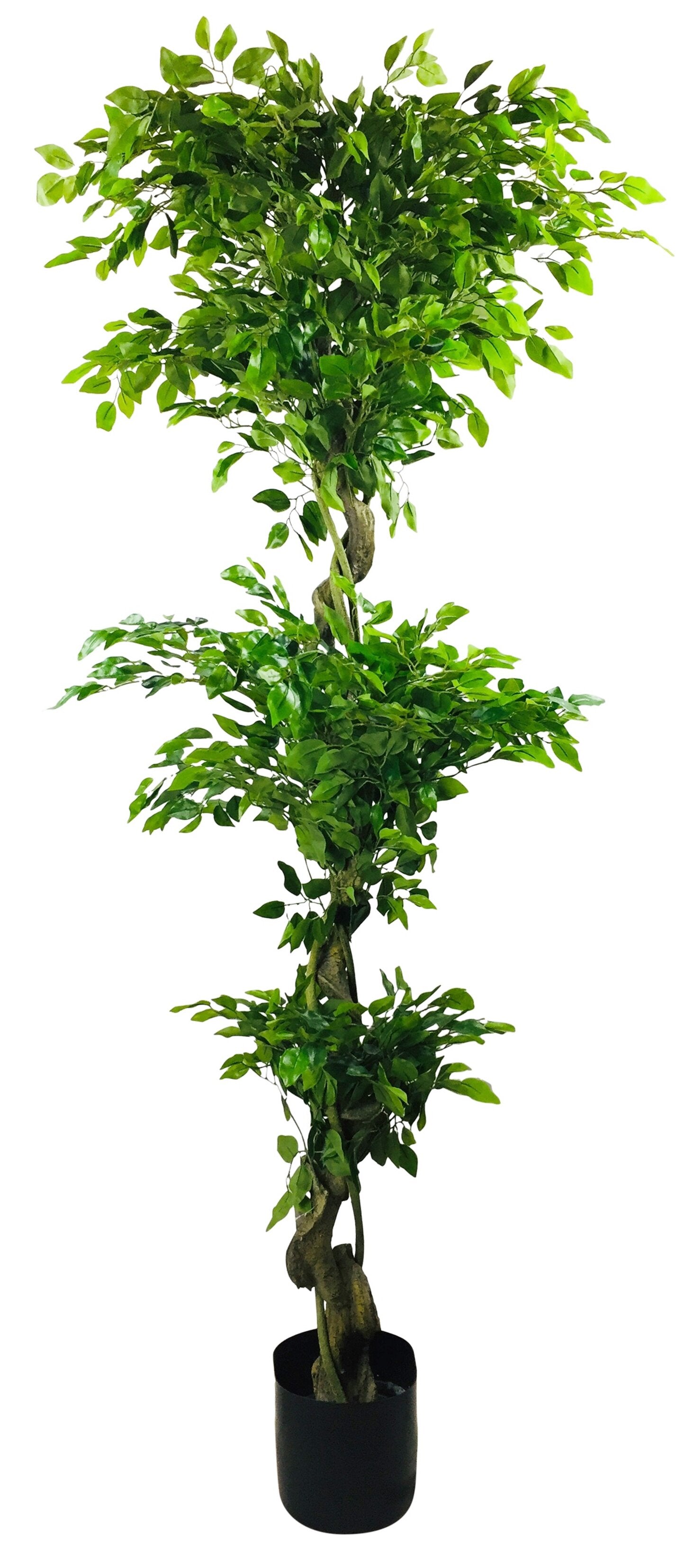 Artificial Ficus Leaf Topiary Mini Leaves 175cm